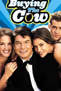 Кот в мешке (фильм 2000)